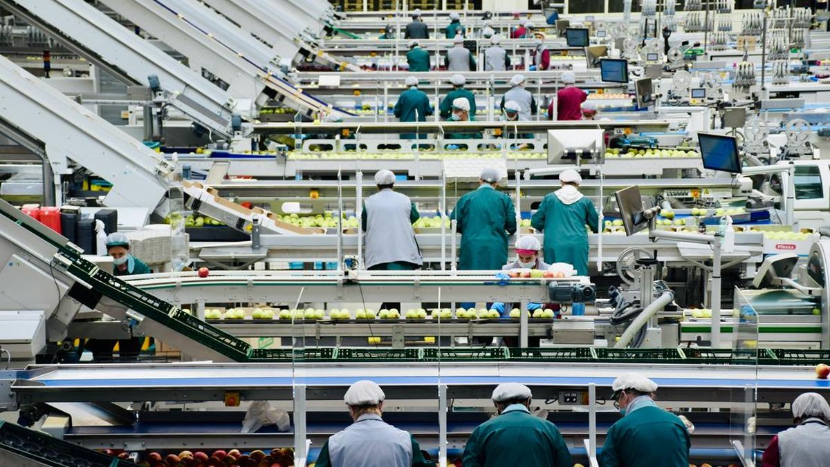 PMI Manufaktur RI Kontraksi, PHK Naik Awal September